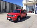 1 JEEP Renegade